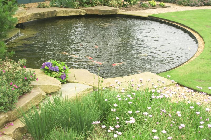 Fish Pond Installation in Ventura County, CA