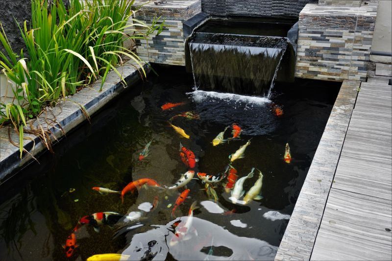 Fish Pond Installation in Honolulu, HI