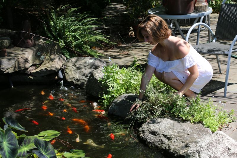 Koi Pond Installation in Ventura County, CA