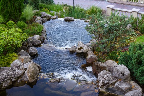 Water Garden Landscaping - Water Garden Landscaping Taylors, South Carolina