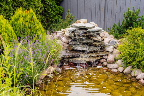 Fish Pond Construction